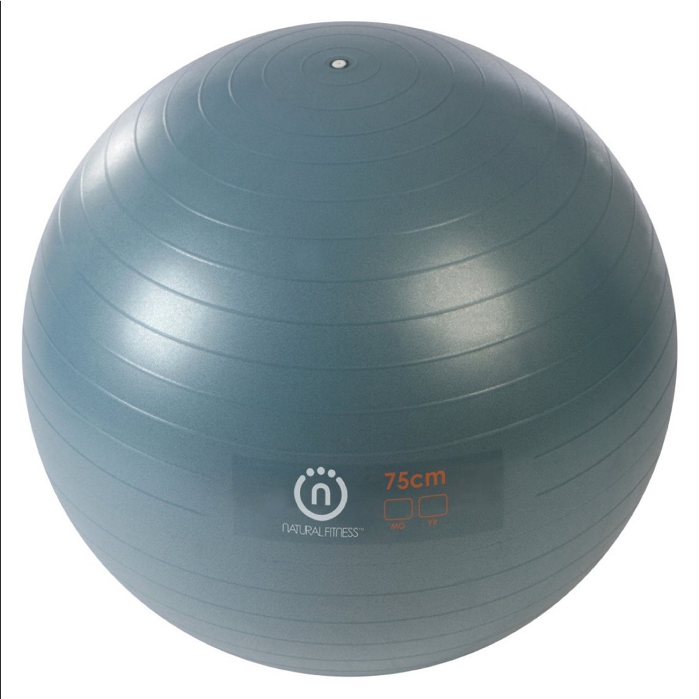 Lifeline Pro Exercise Ball